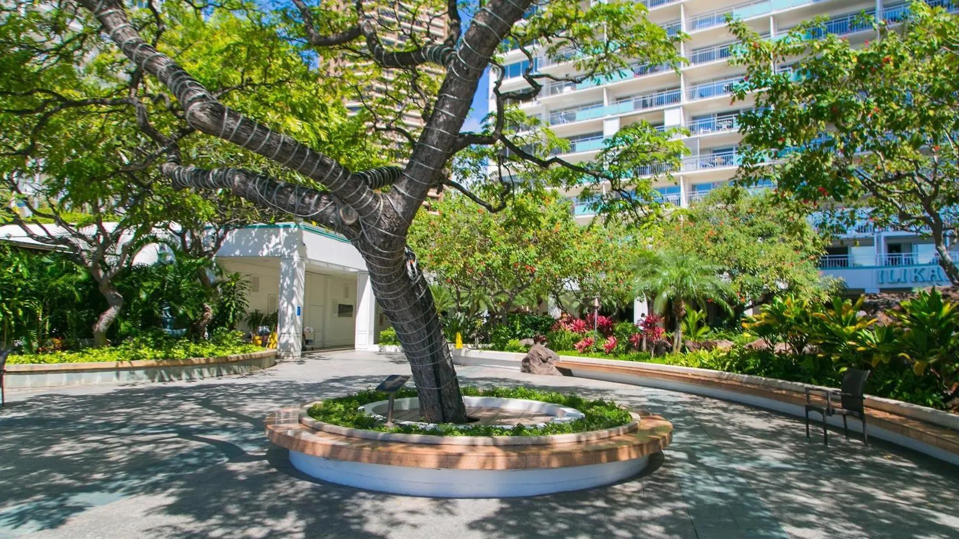 Ilikai Tower 1843 Yacht Harbor View 2Br Daire Honolulu 0*,  ABD